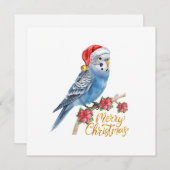 Budgie Christmas Card Feiertagskarte (Vorne/Hinten)