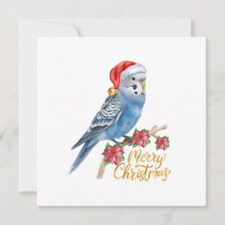 Budgie Christmas Card Feiertagskarte