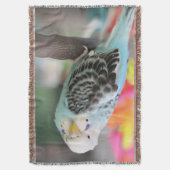 Budgie Decke (Vorderseite Vertikal)