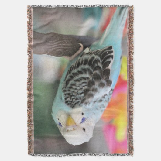 Budgie Decke (Vorderseite Vertikal)