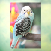 Budgie Fensteraufkleber (Blatt 3)