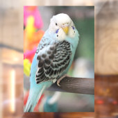 Budgie Fensteraufkleber (Blatt 2)