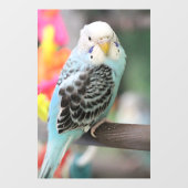 Budgie Fensteraufkleber (Blatt)