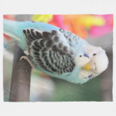 Budgie Fleecedecke (Vorderseite (Horizontal))
