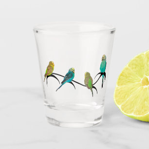 Budgie Frenzy Gift Glass Schnapsglas