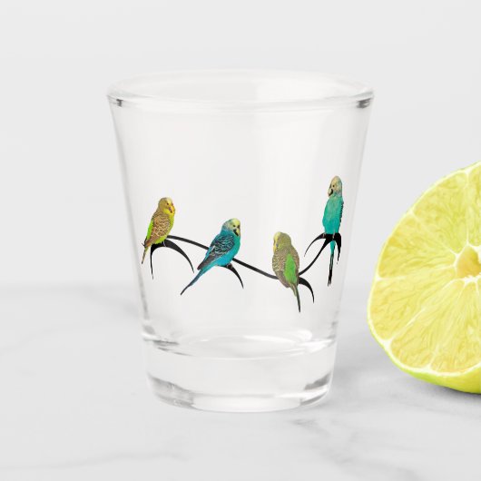 Budgie Frenzy Gift Glass Schnapsglas (Vorderseite)