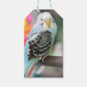 Budgie Geschenkanhänger (Vorderseite)