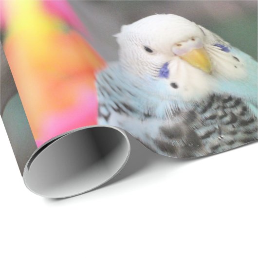Budgie Geschenkpapier (Rolleneckpunkt)