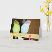 Budgie große Anmerkungs-Karte Karte (Gelbe Blume)