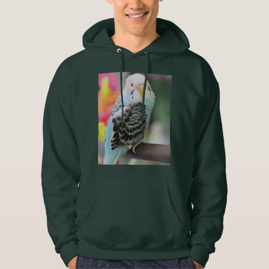 Budgie Hoodie (Vorderseite)
