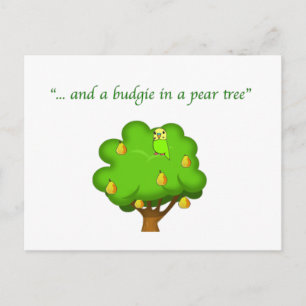 Budgie in einem Birnenbaum Postkarte