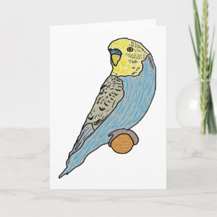 Budgie Karte