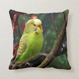 Budgie Kissen