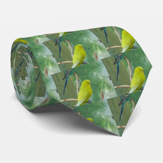 Budgie Krawatte (Gerollt)