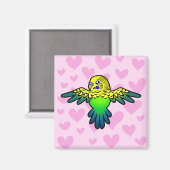 Budgie Liebe Magnet (Vorderseite/Rückseite)