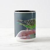 Budgie Liebe-Tasse Zweifarbige Tasse (Mittel)