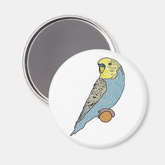 Budgie Magnet (Vorderseite/Rückseite)