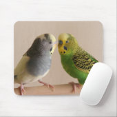 Budgie Mousepad (Mit Mouse)