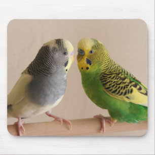Budgie Mousepad