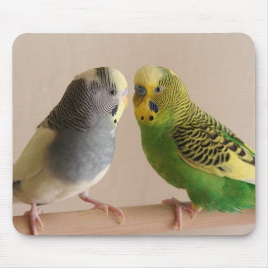 Budgie Mousepad (Vorne)