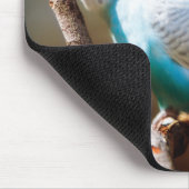 Budgie Mousepad (Ecke)