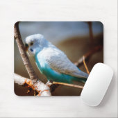 Budgie Mousepad (Mit Mouse)