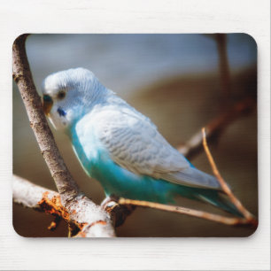 Budgie Mousepad