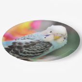 Budgie Pappteller (Schrägansicht)