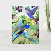 Budgie Parakeets in Olive Tree Greeting Card Karte (Vorderseite)
