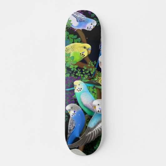 Budgie Parakeets-Skateboard Skateboard (Vorne)