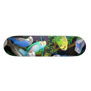 Budgie Parakeets-Skateboard Skateboard
