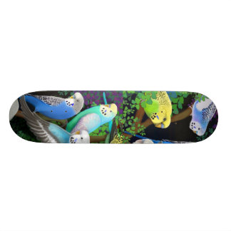 Budgie Parakeets-Skateboard Skateboard