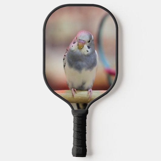 Budgie Pickleball Schläger (Rückseite)