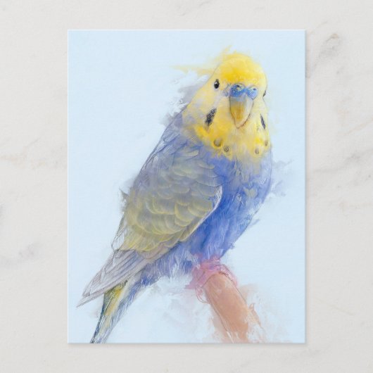 Budgie Portrait Nr.10 Postkarte (Vorderseite)