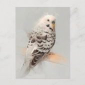 Budgie Portrait Nr.11 Postkarte (Vorderseite)