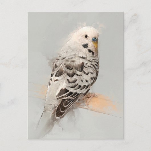 Budgie Portrait Nr.11 Postkarte (Vorderseite)