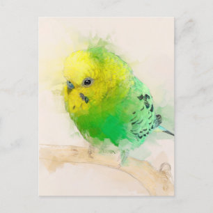 Budgie Portrait Nr.15 Postkarte