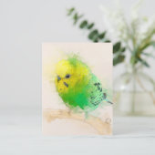 Budgie Portrait Nr.15 Postkarte (Stehend Vorderseite)