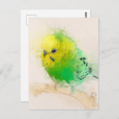 Budgie Portrait Nr.15 Postkarte (Vorne/Hinten)