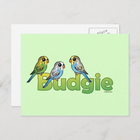 BUDGIE POSTKARTE (Vorne/Hinten)