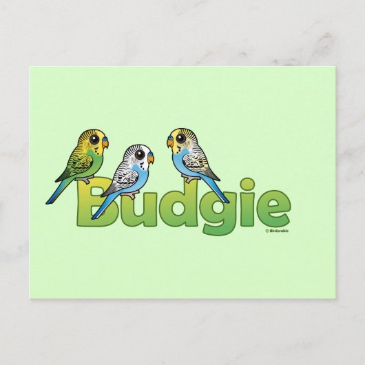 BUDGIE POSTKARTE (Vorderseite)
