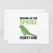 budgie postkarte (Vorne/Hinten)