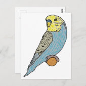 Budgie Postkarte (Vorne/Hinten)