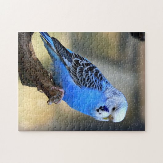 Budgie Puzzle (Horizontal)