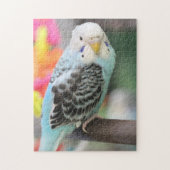 Budgie Puzzle (Vertikal)