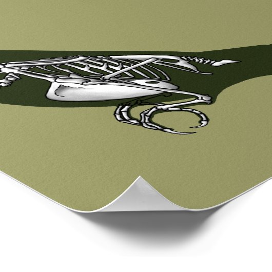 Budgie Skelett Poster (Ecke)