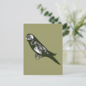 Budgie Skelett Postkarte (Stehend Vorderseite)