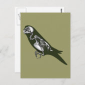 Budgie Skelett Postkarte (Vorne/Hinten)