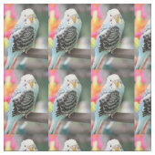 Budgie Stoff (Muster)
