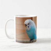 Budgie Tasse (Links)